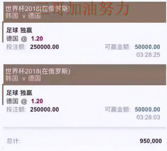 世界杯投注平台合集全面分析合集：覆盖平台排行+直播与入口方式 - 世界杯官方信息